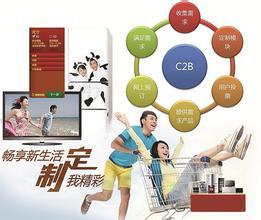 家电定制 撬动家用电器互联网销售的个性化营销新引擎